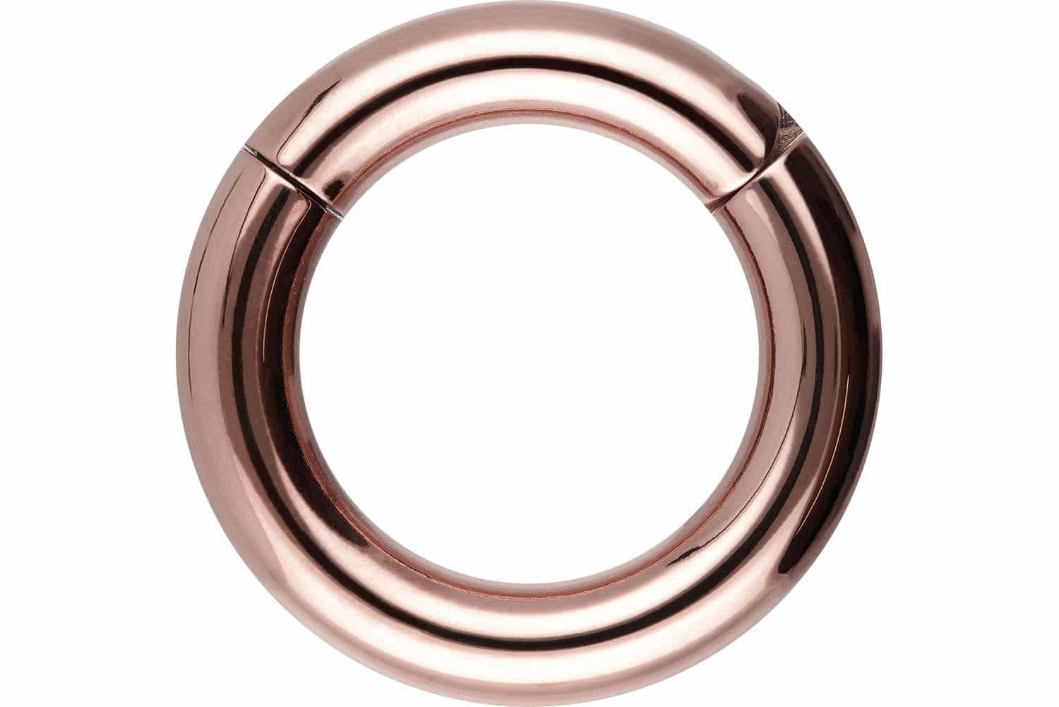Chirurgenstahl Segmentring Clicker Piercing